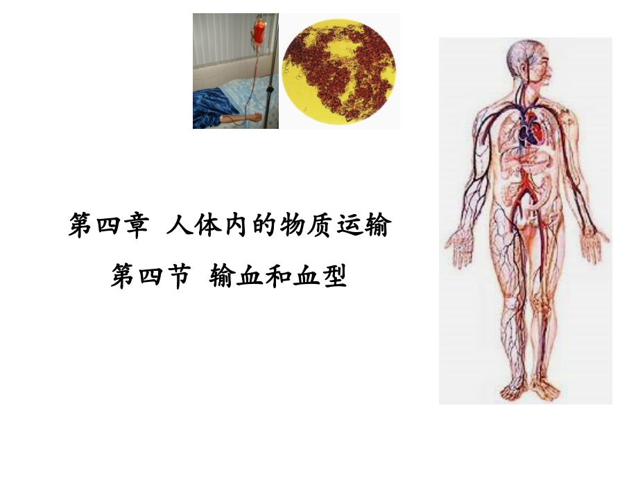 生物：输血和血型课件讲课.ppt_第1页