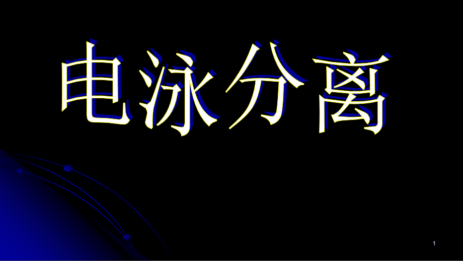 电泳分离概述.ppt_第1页