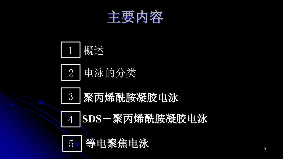电泳分离概述.ppt_第2页