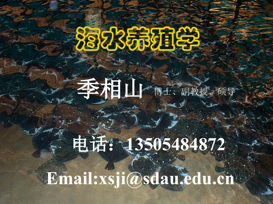 海水养殖学绪论.ppt_第1页