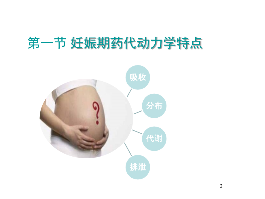 老年人、妊娠期、儿童合理用药.ppt_第2页