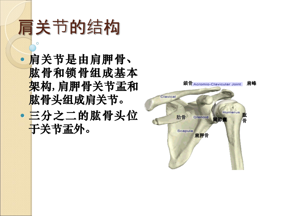 偏瘫肩并发症课件.ppt_第2页