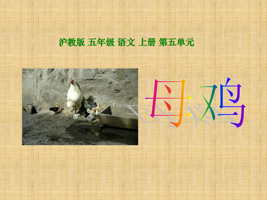 《母鸡》课件(沪教版五年级语文上册课件).ppt_第1页