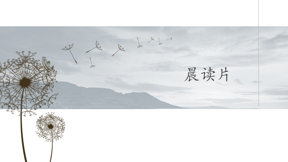 输尿管囊肿课件.ppt_第1页