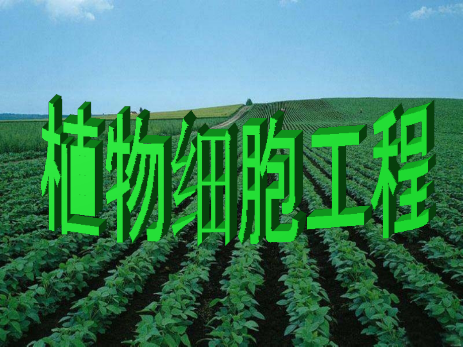 植物组织培养课件.ppt_第1页