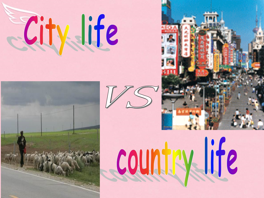 高中英语 Unit 1 Lifestyle Lesson 4 City and country课件 北师大版必修1 课件.ppt_第2页