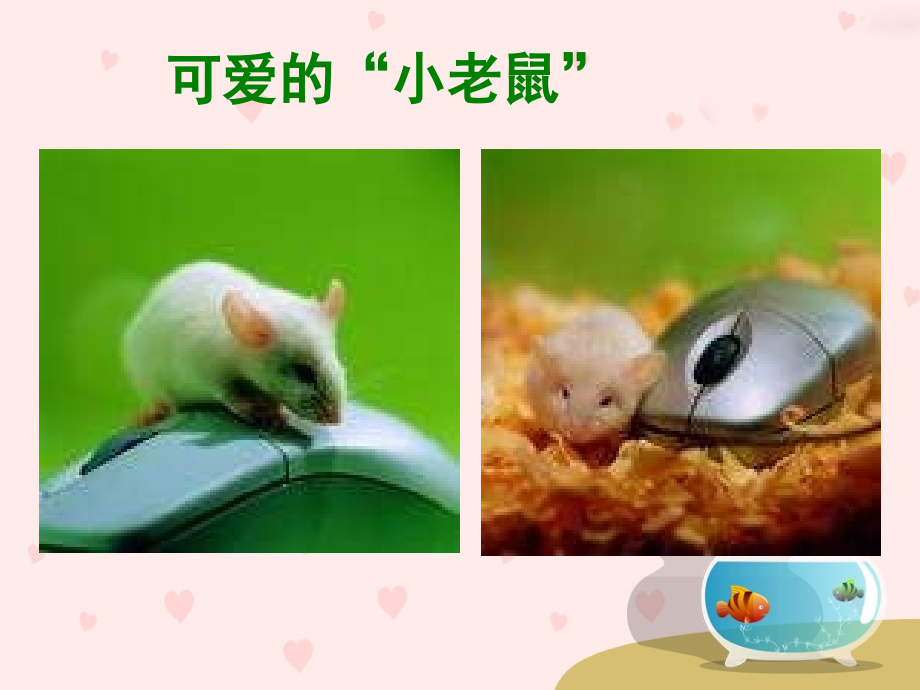 技术《认识鼠标和鼠标的操作》PPT课件.ppt_第2页