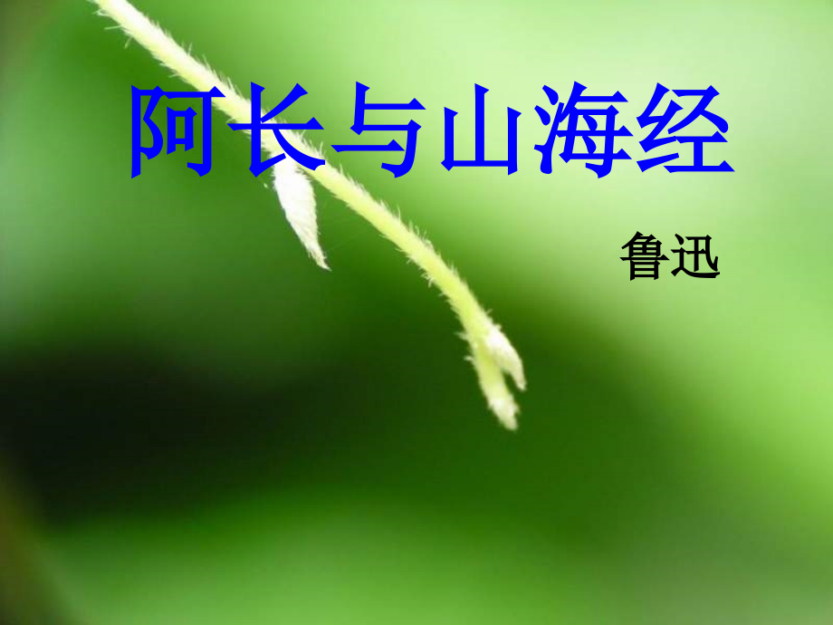 阿长与《山海经》用.ppt_第1页
