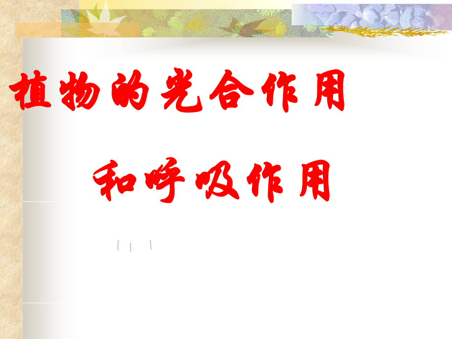 浙教版科学八年级下光合作用和呼吸作用复习(共31张)课件.ppt_第1页