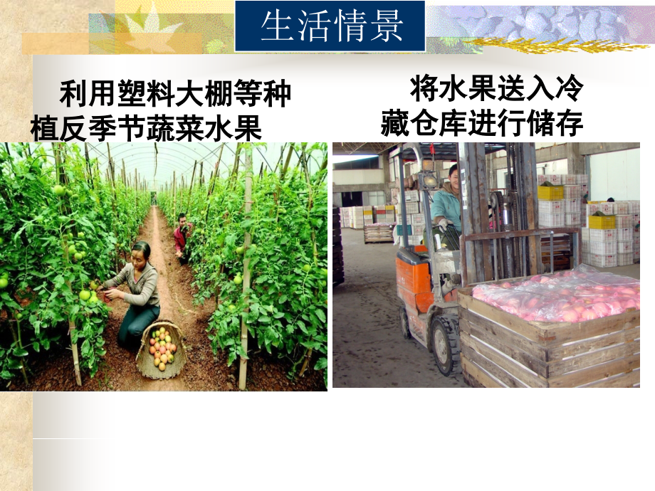 浙教版科学八年级下光合作用和呼吸作用复习(共31张)课件.ppt_第2页