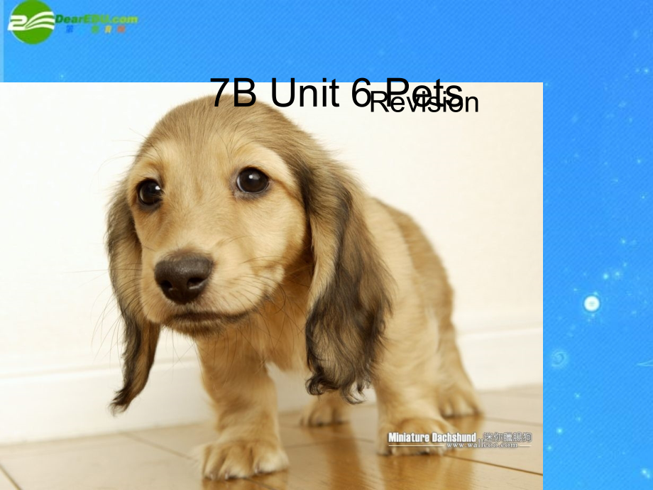 中考英语复习7B Unit6 Revision 课件 牛津版 课件.ppt_第1页