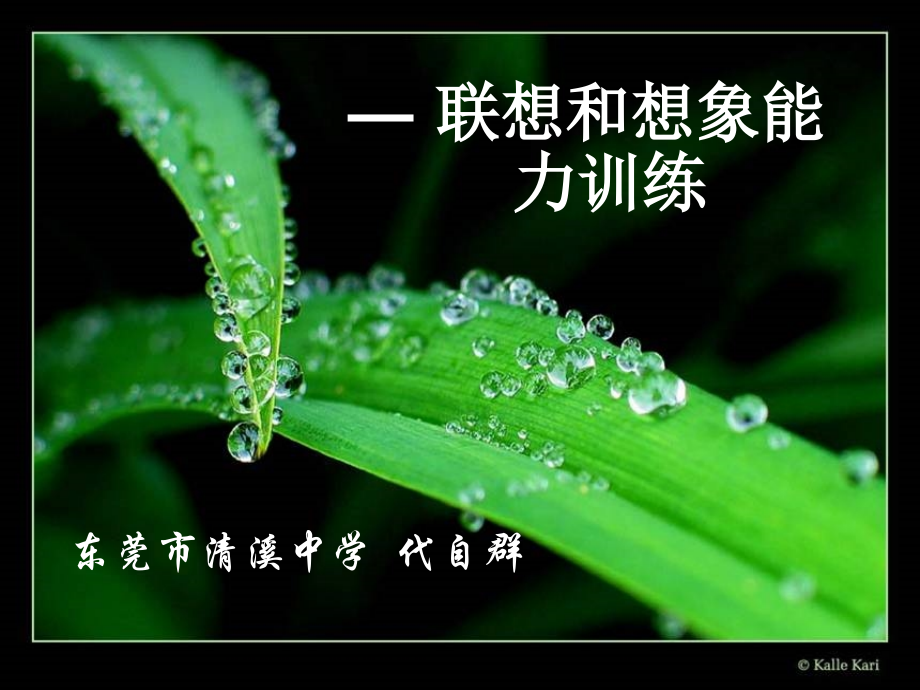 高中语文联想和想象能力训练课件.ppt_第1页