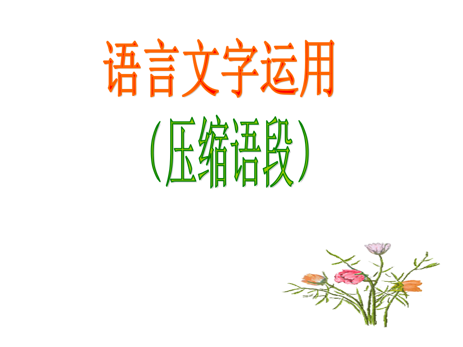高考语文语言文字运用课件课件新人教版 课件.ppt_第1页