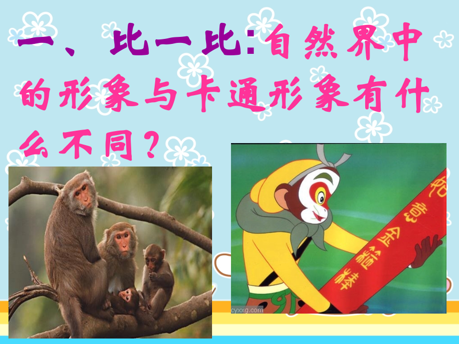 卡通明星总动员.ppt_第2页