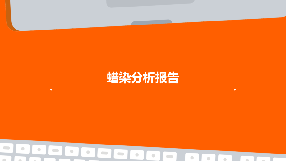 蜡染分析报告.pptx_第1页