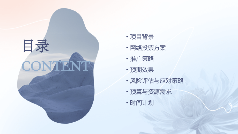 网络投票计划书.pptx_第2页