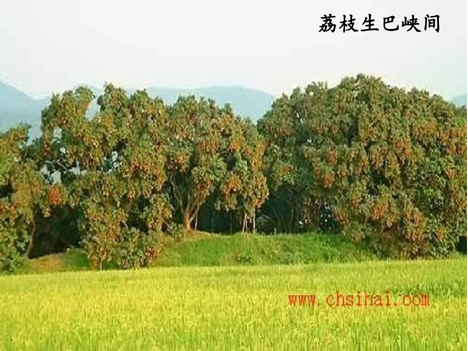 朗读背景课件.pptx_第2页