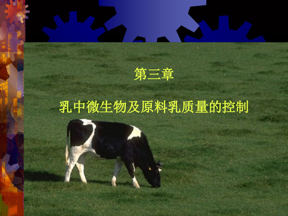 三、乳中的微生物及原料乳的质量控制课件.ppt_第1页