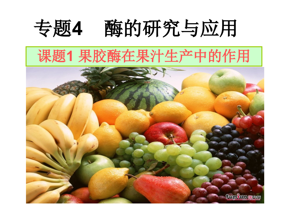 专题4《酶的研究与应用》(谢).ppt_第1页