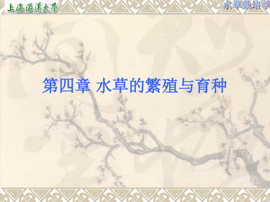 第4章-水草的繁殖课件.ppt_第1页