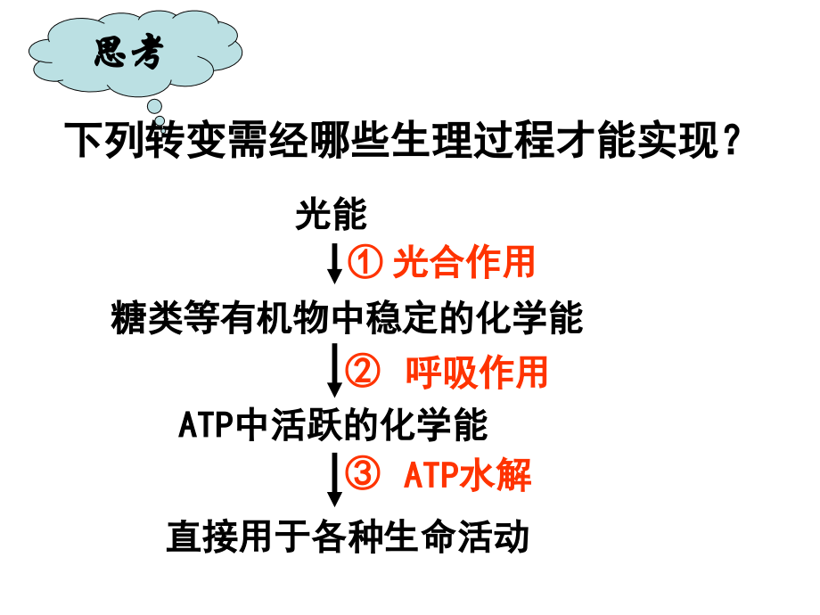 生物：4.3《细胞呼吸》课件(3).ppt_第2页