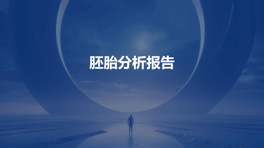 胚胎分析报告.pptx_第1页