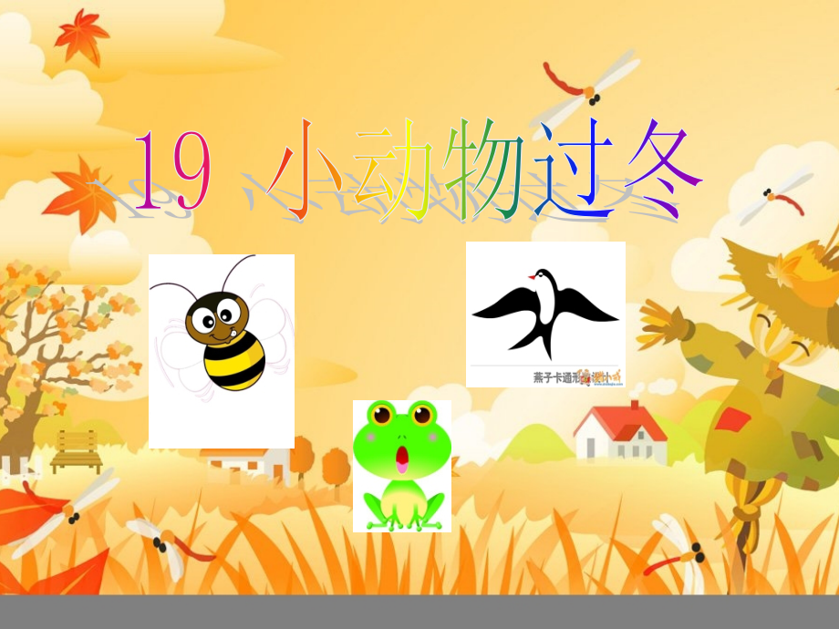 小动物过冬PPT.ppt_第1页