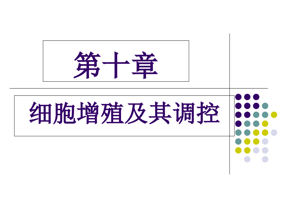 10.细胞增殖与调控课件.ppt_第1页