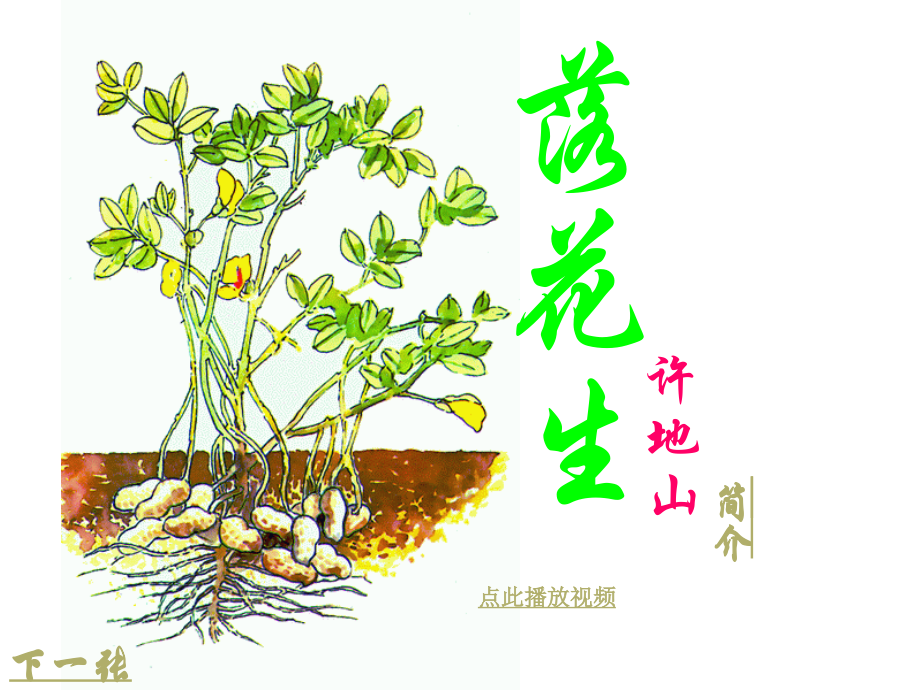 《落花生》课件之三.ppt_第1页