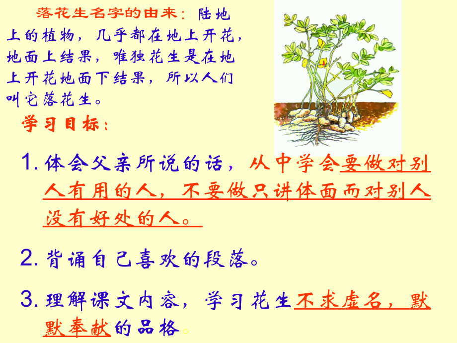《落花生》课件之三.ppt_第2页
