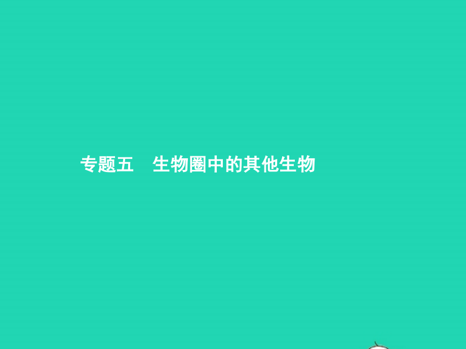 中考生物 专题5 生物圈中的其他生物课件.pptx_第1页