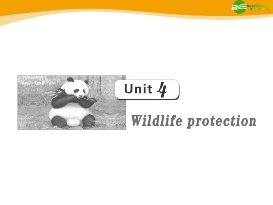 高考英语 第一部分 Unit4__Wildlife_protection课件 新人教版必修2 课件.ppt_第1页
