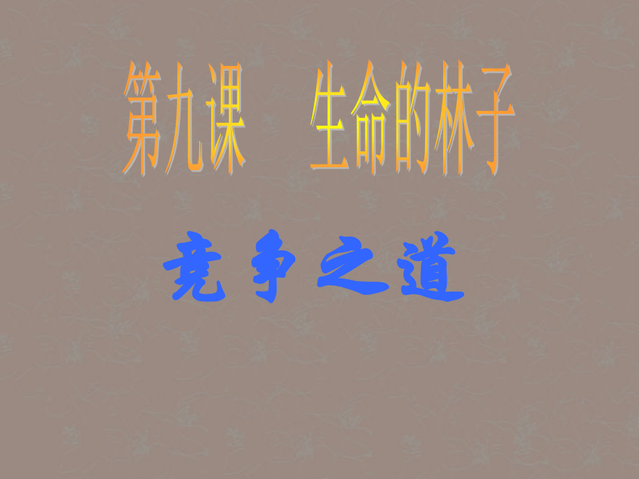 七年级政治下册 第三单元 第二课 生命的林子课件 人民版 课件.ppt_第1页