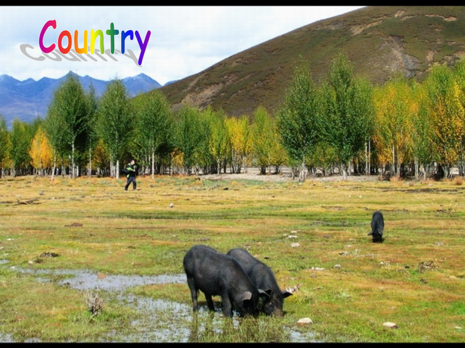 高中英语Unit 1 lesson 4 City and Country课件12 北师大版 必修1 课件.ppt_第2页