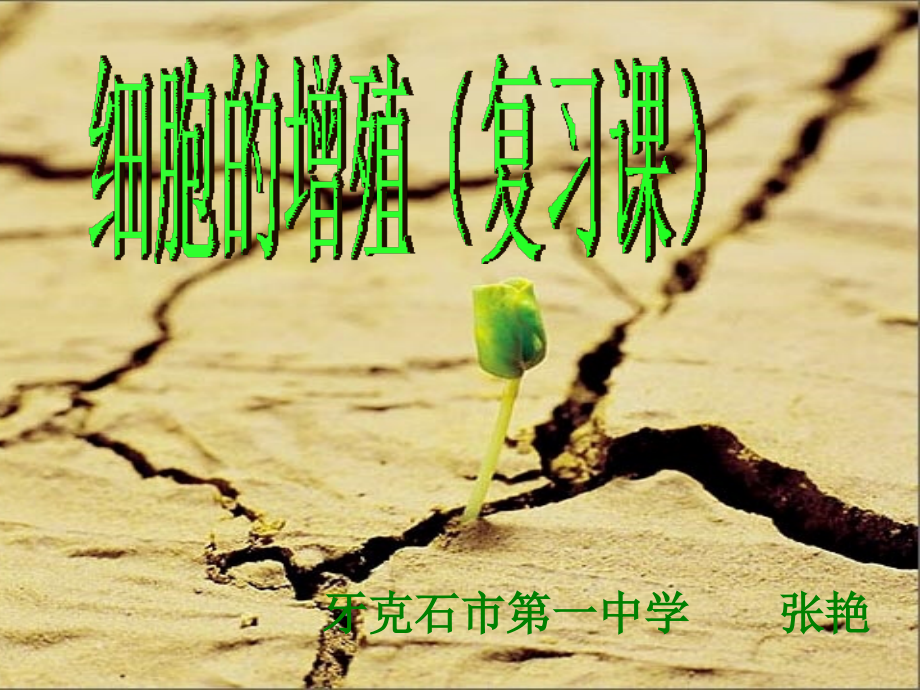 第一节细胞的增殖-(7).ppt_第1页