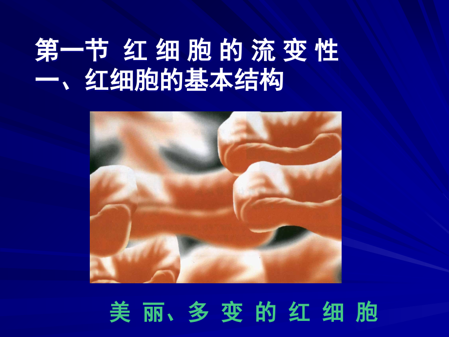 第十二章细胞流变学.ppt_第2页