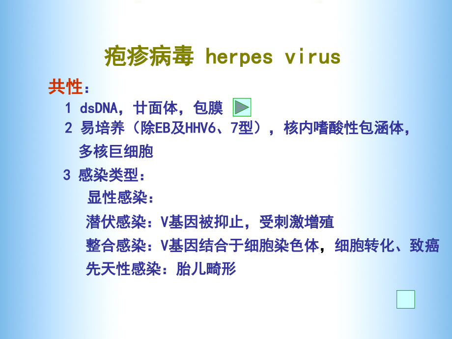 微生物学--疱HIV8.ppt_第2页