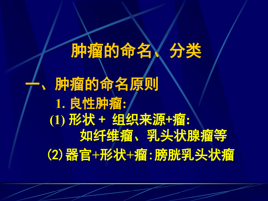 肿瘤的命名、分类.ppt_第1页