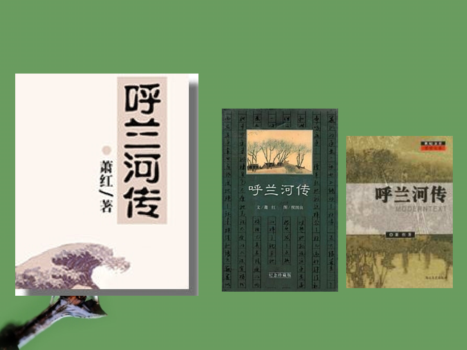 高中语文(呼兰河传)课件3 北京版选修2 课件.ppt_第2页