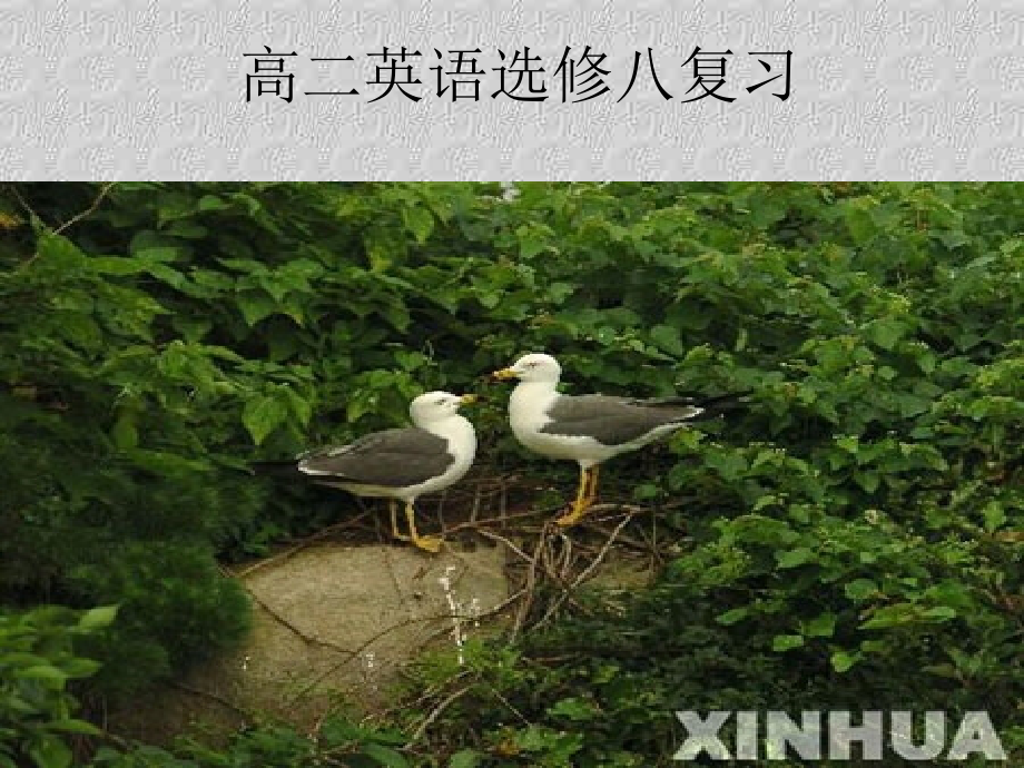 高二英语选修八 复习课件 新课标 人教版 课件.ppt_第1页