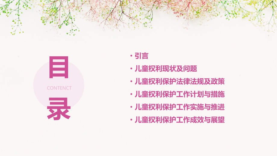 儿童权利保护主题计划书.pptx_第2页