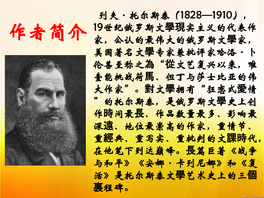娜塔莎优秀课件市公开课一等奖百校联赛获奖课件.ppt_第2页