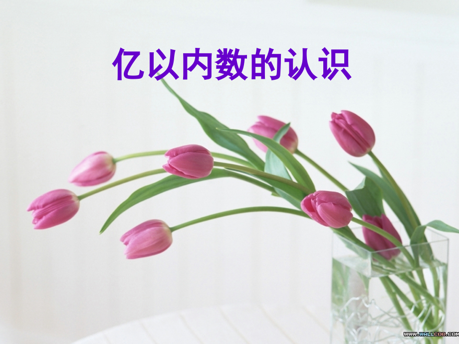 小学人教四年级数学亿以内数的读法(一).ppt_第1页