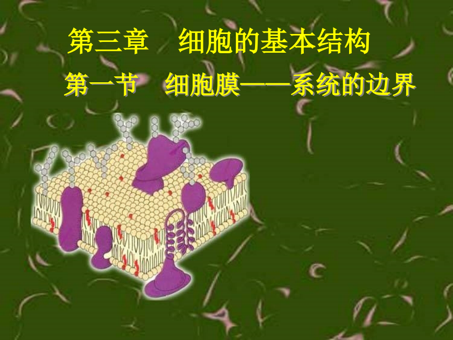 系统的边界.ppt_第1页