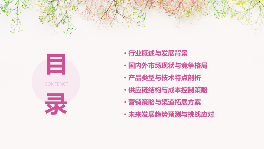四轮沙滩车行业报告.pptx_第2页