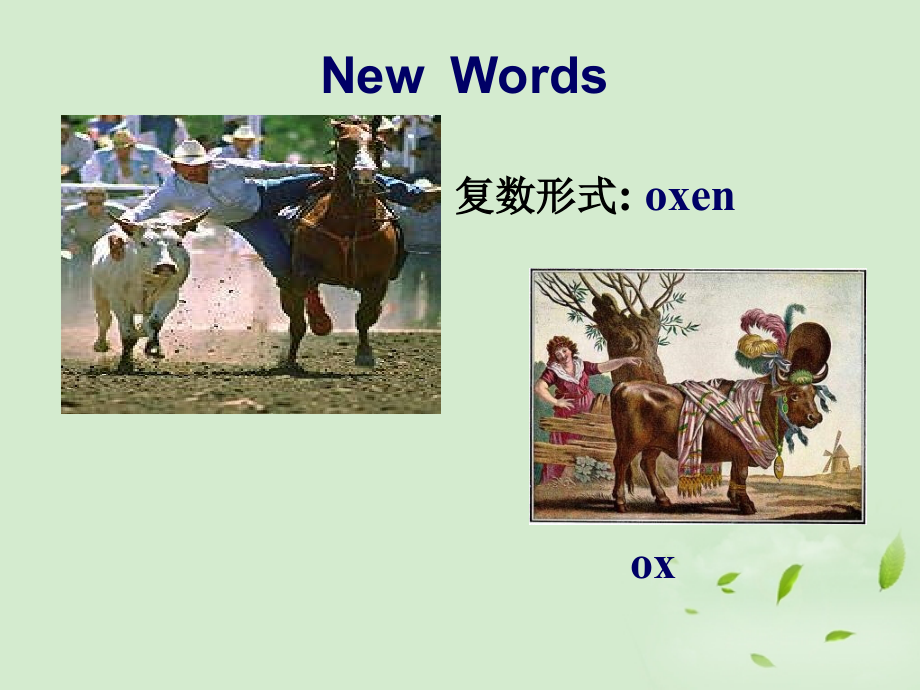 高中英语(unit4 Using Language)教学课件 新人教版选修7 课件.ppt_第2页