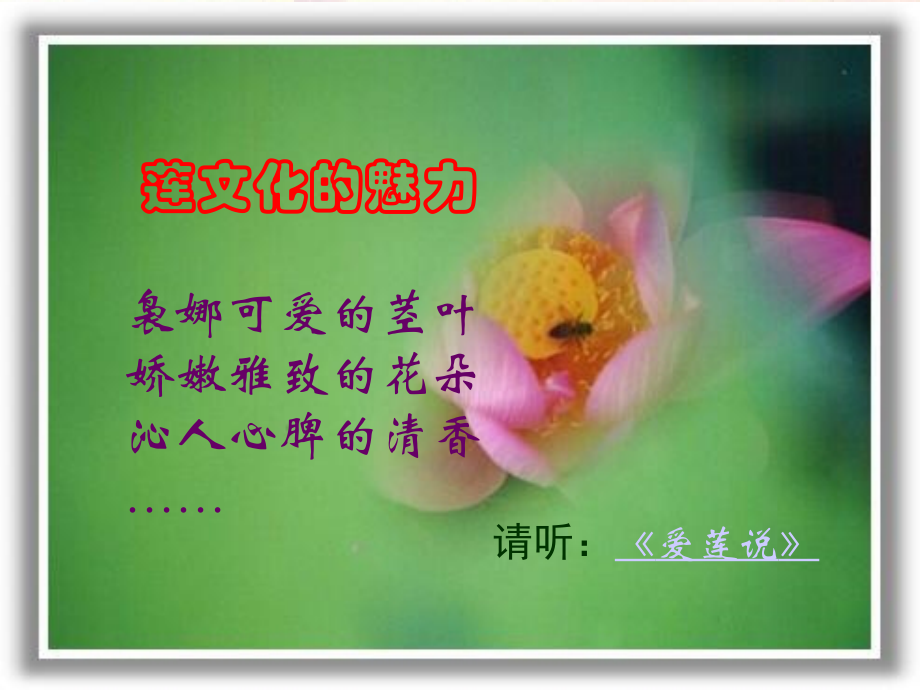 (莲文化的魅力)课件6 八年级语文上册第五单元(综合性学习莲文化的魅力)课件7套人教版 八年级语文上册第五单元(综合性学习莲文化的魅力)课件7套人教版.ppt_第1页