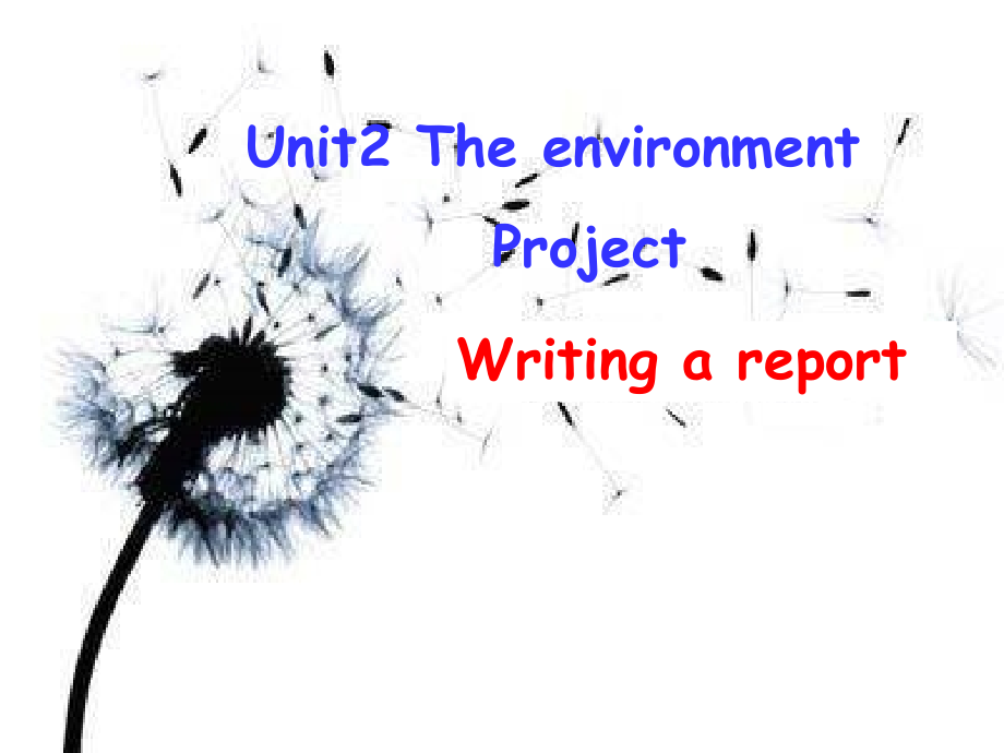 高中英语 M5U2 Project课件 牛津版必修5 课件.ppt_第1页