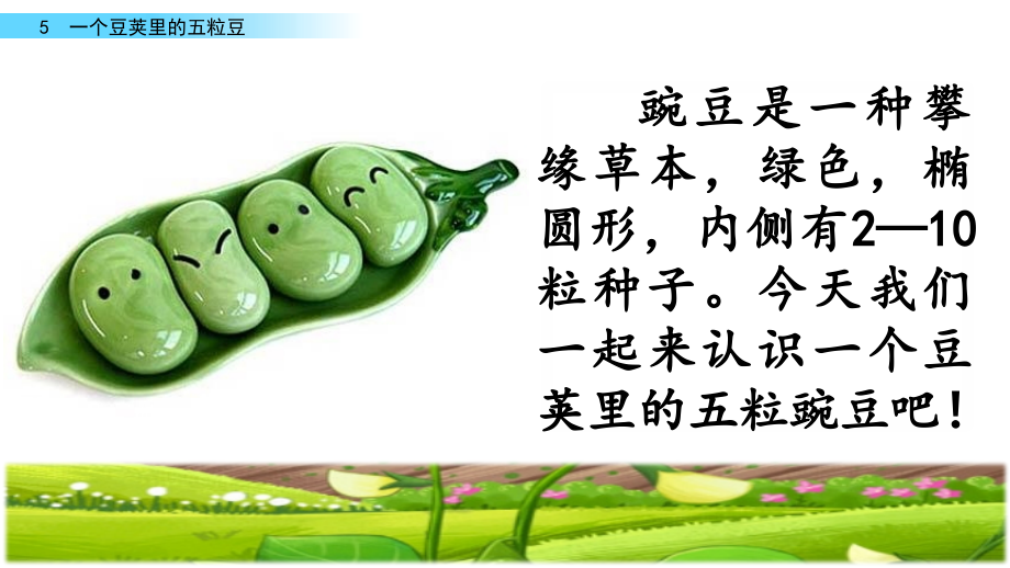 部编版四年级《一个豆荚里的五粒豆》课件.ppt_第1页