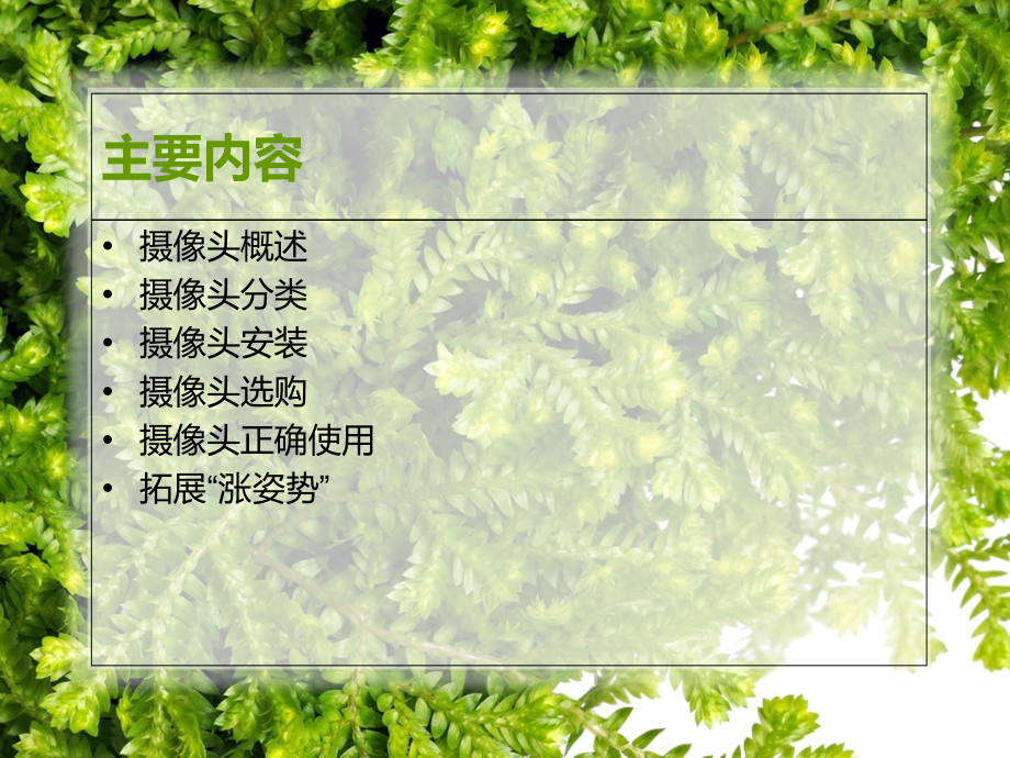 摄像头简介课件.ppt_第2页